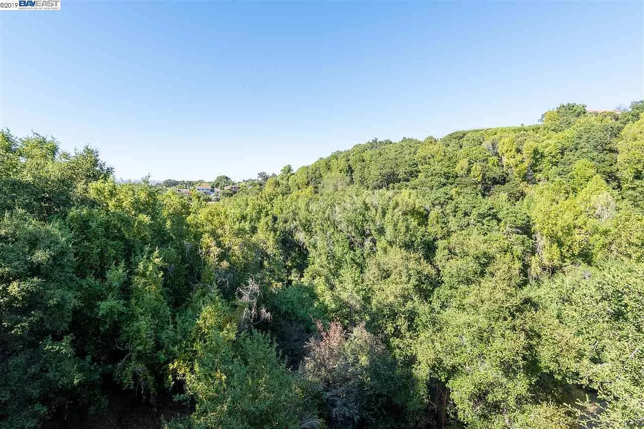1 bed, 1000 sqft, $1,080 — Photo 4