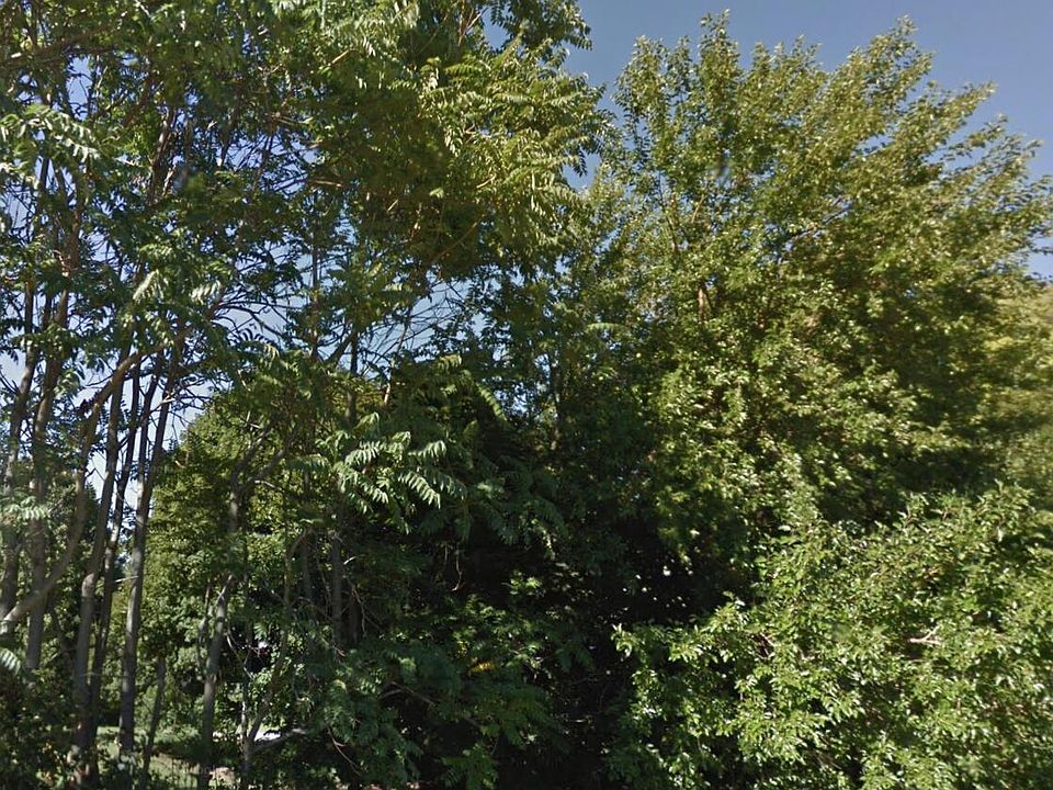 2nd image of 135 Hunter Dr