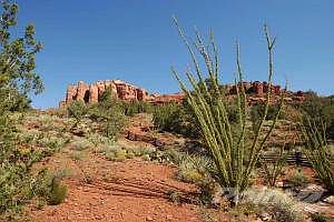 Premier Lot 73 in Cathedral Rock Ranch