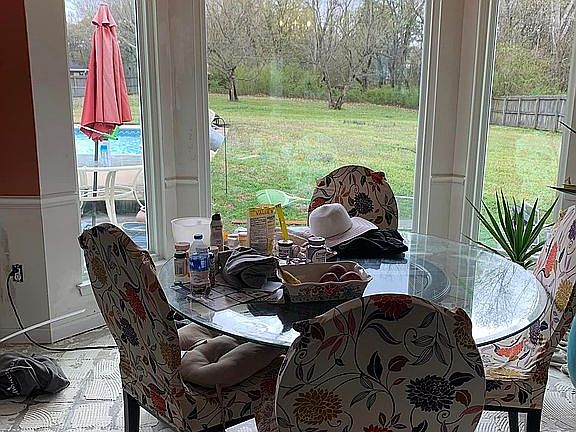 New Breakfast Room Windows