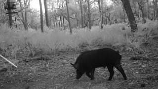 5th image of 641 Sheppard Road