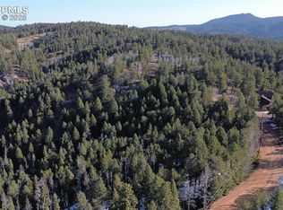 461 Paradiso Rd, Divide, CO 80814