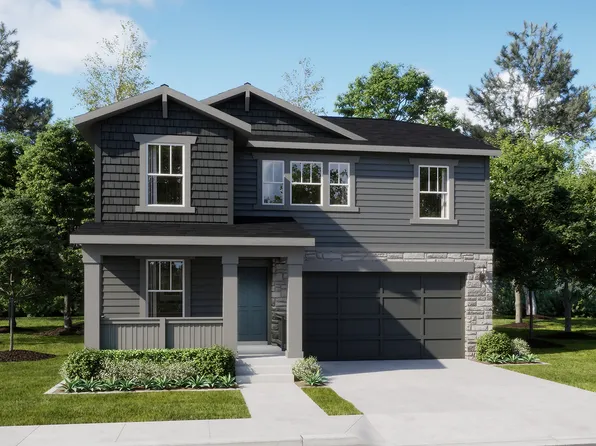 Marigold Plan, Percheron : The Petal Collection