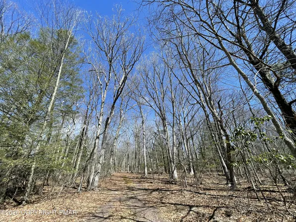 134 Maple Dr, Cresco, PA 18326