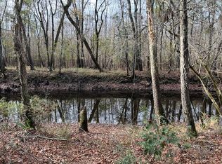 0 Parkers Ferry Rd, Ravenel, SC 29470