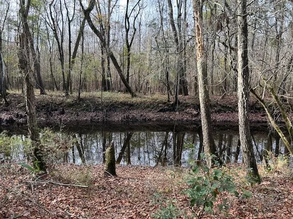 0 Parkers Ferry Rd, Ravenel, SC 29470