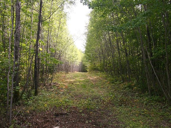 3rd image of xxxx County Rd 144