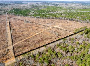 869 Marion Ripley Rd, Dry Branch, GA 31020