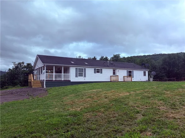164 Ben McCumber Rd, Unadilla, NY 13849