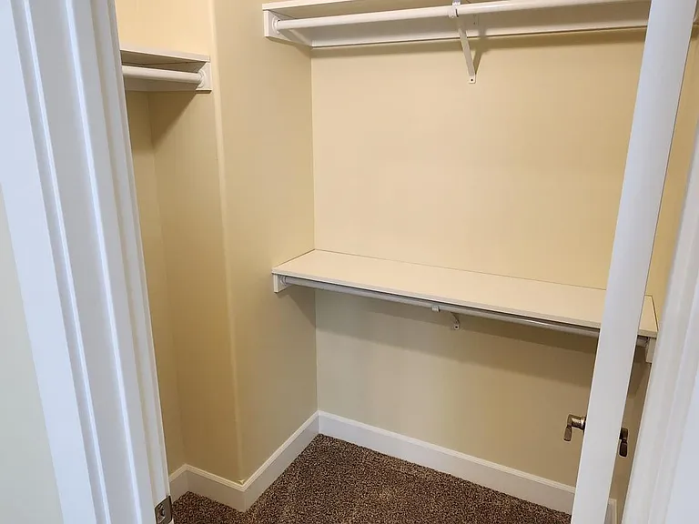Walk-in Master Closet