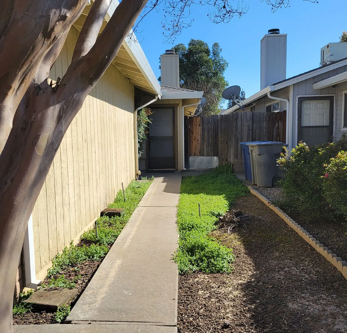 2 bed, 1.0 bath, 996 sqft, $1,595 — Photo 4