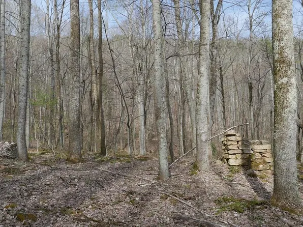 Bryson Cove Rd, Abingdon, VA 24210