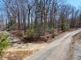 2 Robert Miller Ln, Mineral Bluff, GA 30559