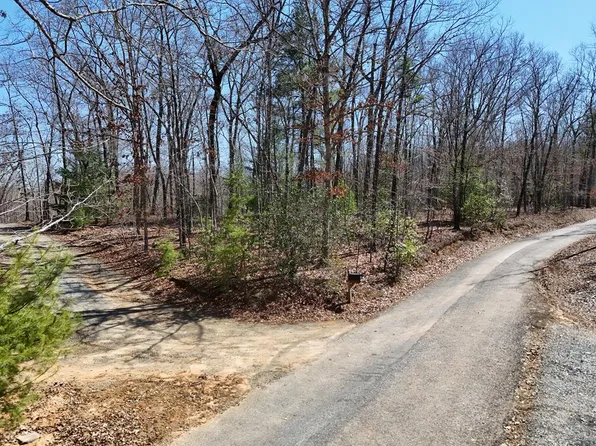 1 Robert Miller Ln, Mineral Bluff, GA 30559
