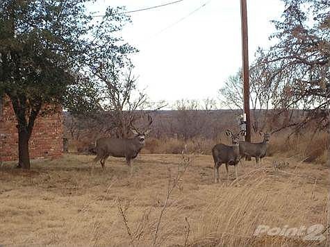 GREAT COUNTRY HOME!!