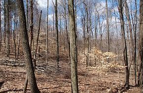 4th image of 5728 N Pathways Dr