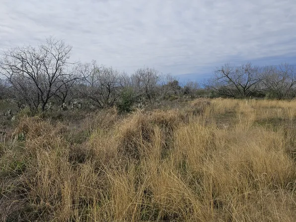 949 W Ave K Lots 3283-3285 LOT 3, Christine, TX 78012