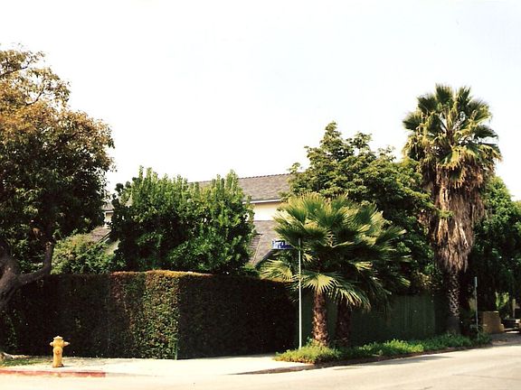 Corner Lot-Privacy Hedge