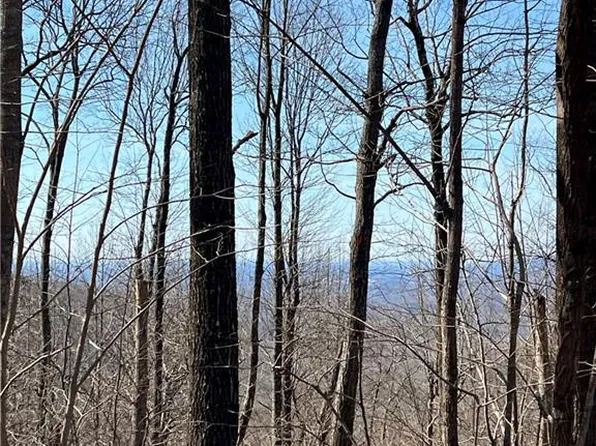 236 Andes Rdg #236, Ellijay, GA 30536