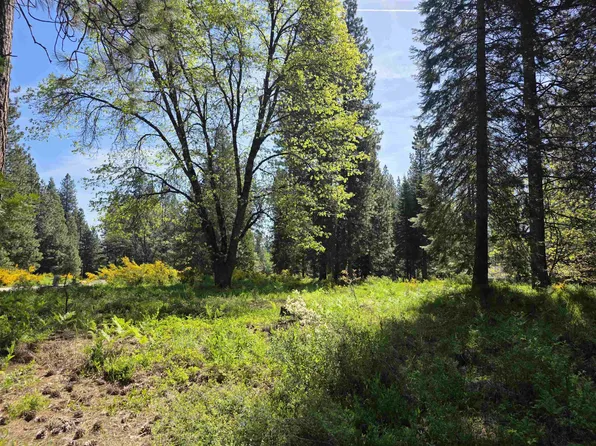 LOT 79 Panther Meadow Dr, McCloud, CA 96057