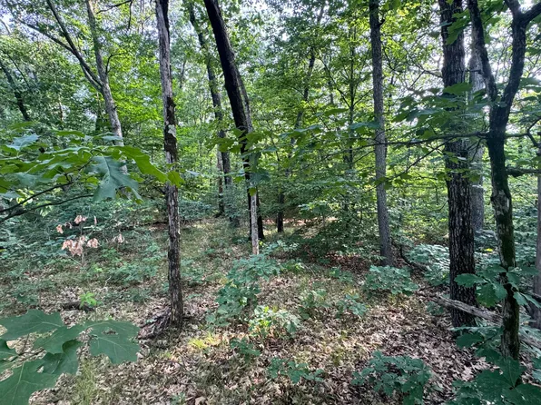 V/l E Washington St, White Cloud, MI 49349