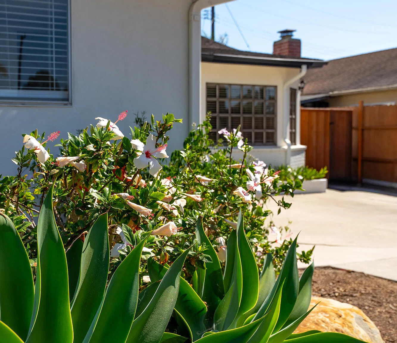 5 bed, 3.0 bath, 1996 sqft, $6,795 — Photo 3