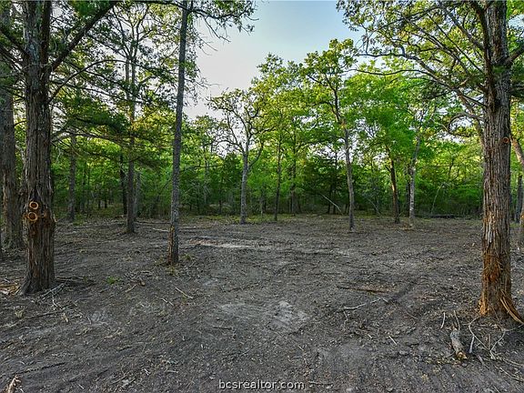4th image of County Road 415 Tract Acres #3-5.29