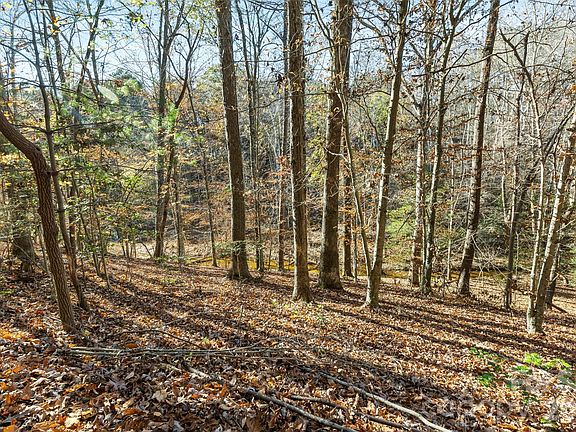 4th image of 119 Wood Cove Ln