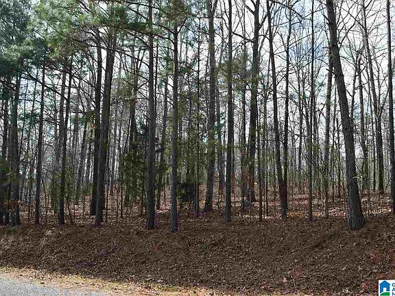 2nd image of LOT 29 Water Oak Ln #29B
