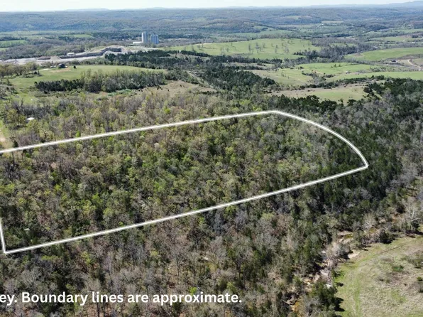 001-08274-000 Deer Meadows Ln, Yellville, AR 72687