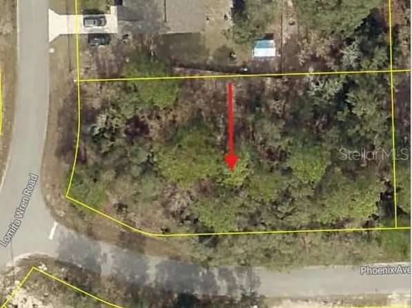 0 Lomita Wren Rd Lot 10, Brooksville, FL 34614