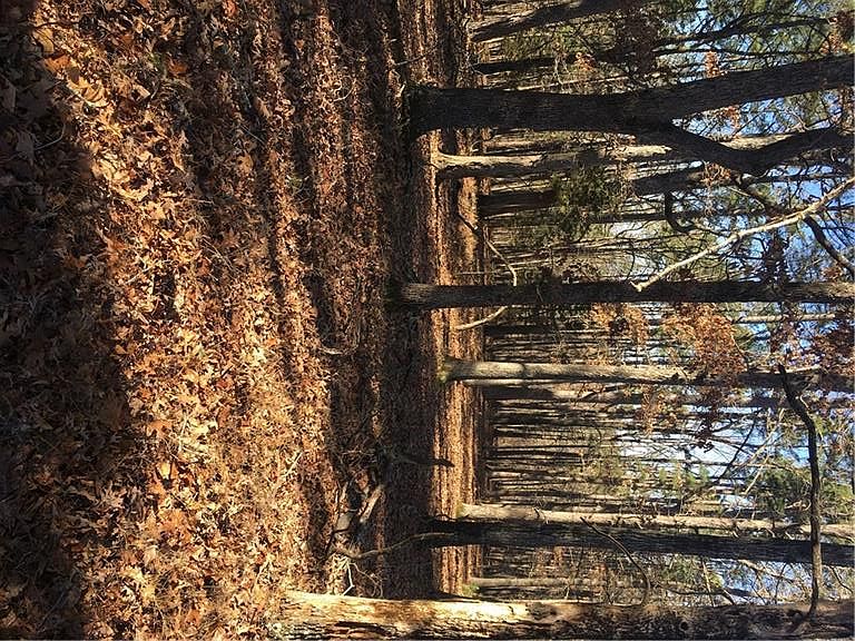 2nd image of 17702 Maple Ln