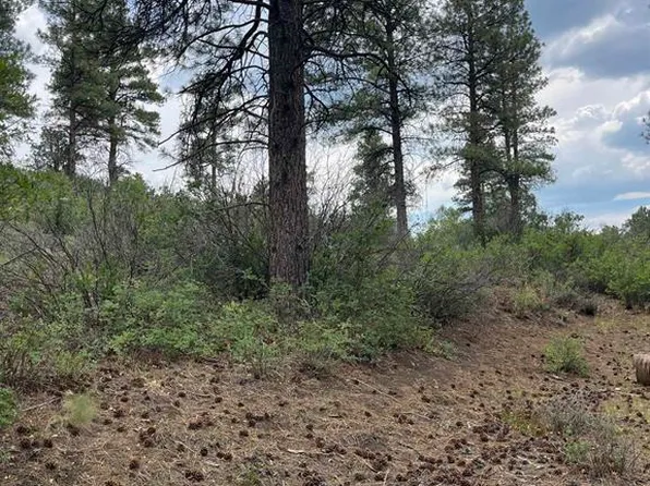 181 River Run Dr, Pagosa Springs, CO 81147