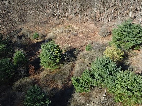 2nd image of 0 Fox Hollow Rd