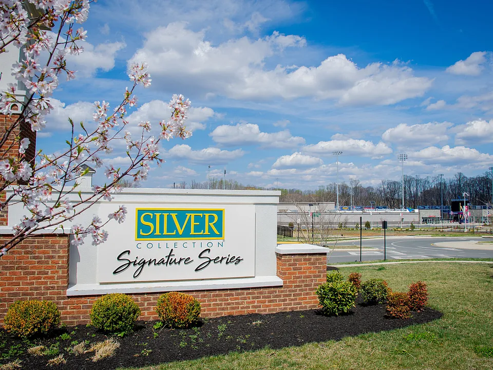 Silver Collection At Carl D Silver