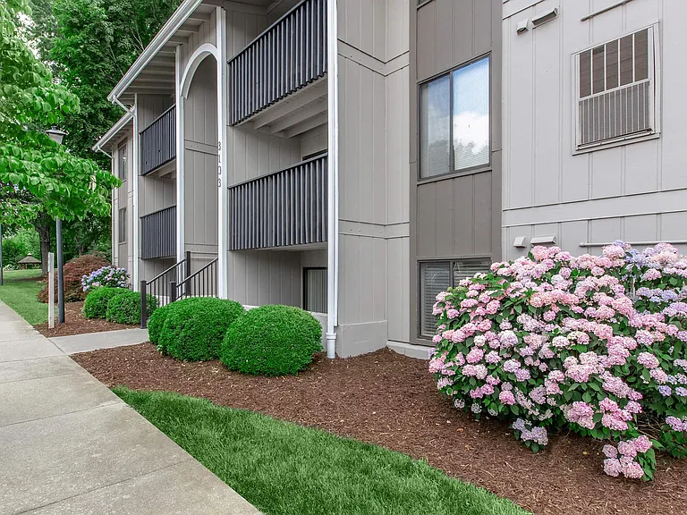 Honeywood Apartments — Photo 16