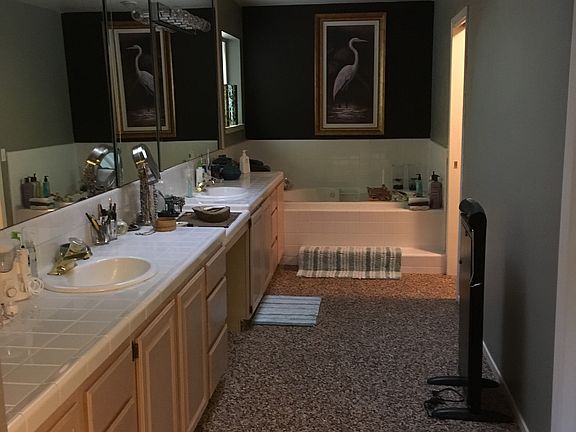 Large master bath & skylight