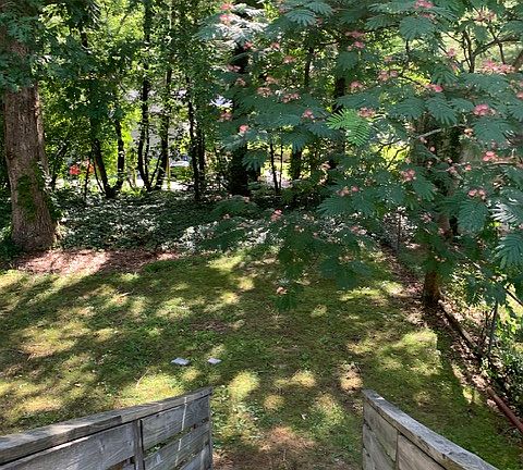 2nd image of 1219 10th St NE #1219
