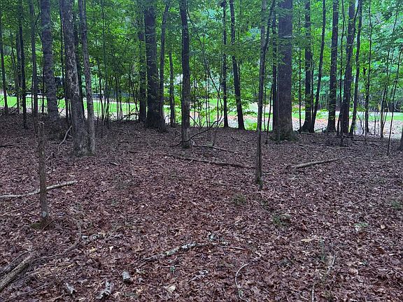 5th image of LOT 32 Pine Cone Ln