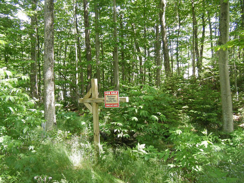 1st image of 29 Tamarack Ct