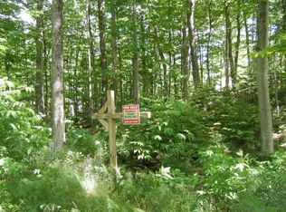 29 Tamarack Ct, Mackinac Island, MI 49757