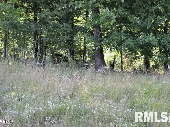 LOT 395 Eagle Ridge Ln, Goreville, IL 62939