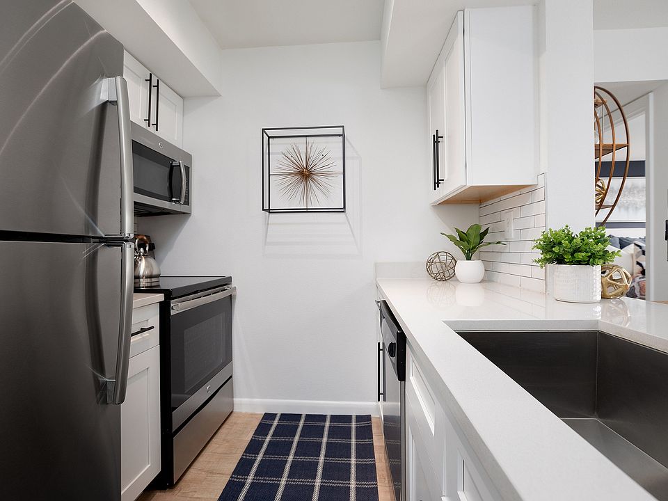 Your Culinary Canvas