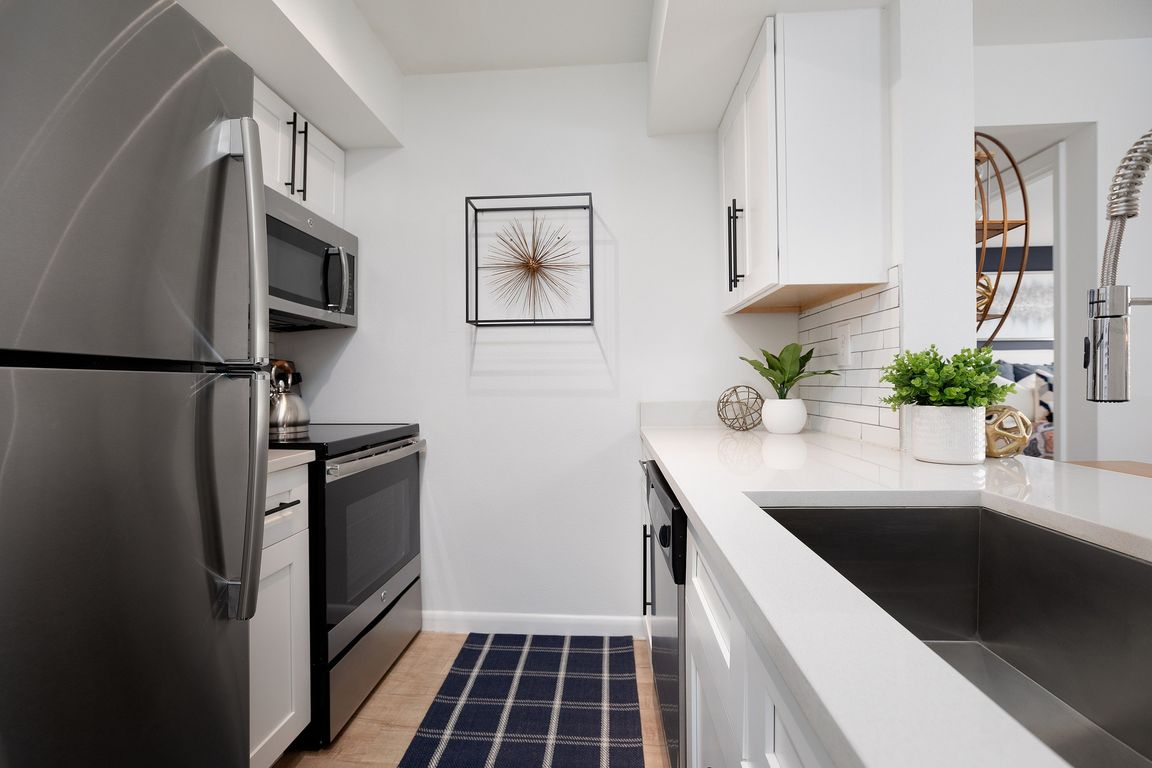 Your Culinary Canvas