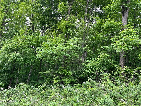 5th image of Carol Dr
