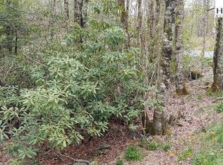 250 Greenbriar Rd, Banner Elk, NC 28604