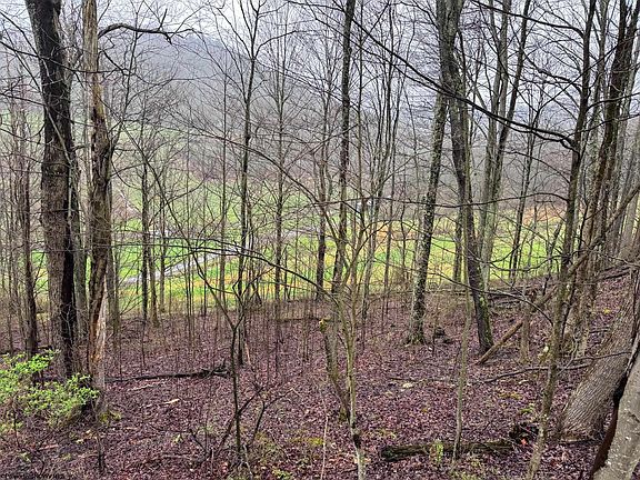 5th image of 0 Bear Mountain Rd
