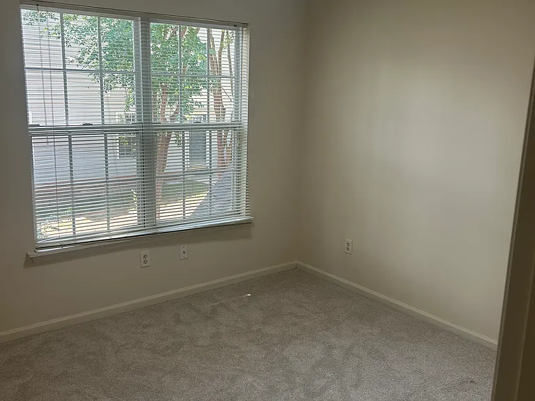 8825 Scotch Heather Way — Photo 7