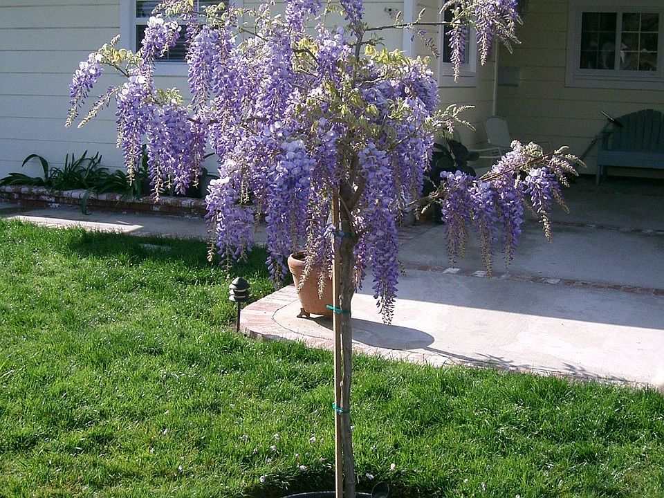 All new entry,driveway and landscape