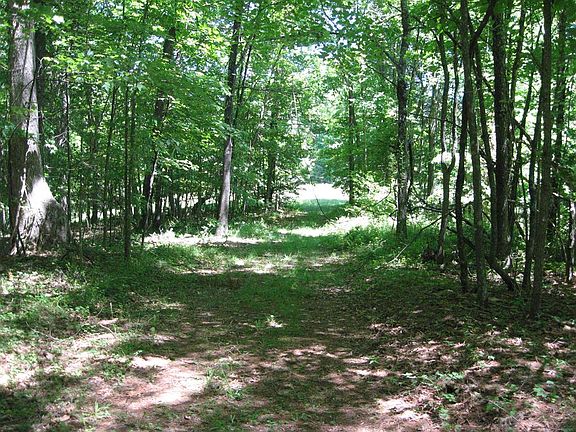 5th image of Moorewood Ln